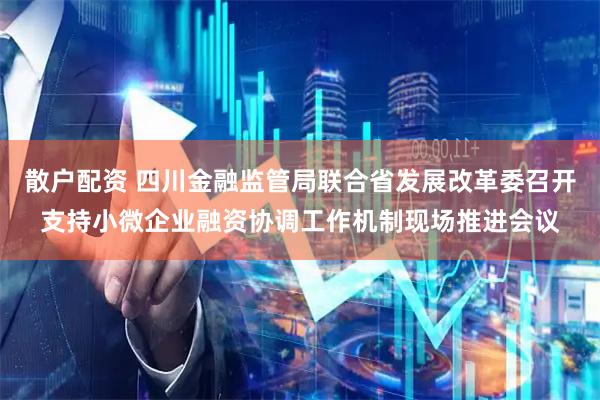散户配资 四川金融监管局联合省发展改革委召开支持小微企业融资协调工作机制现场推进会议