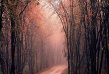 杠杆例子:线上开户的证券公司-8连板天普股份：如公司股价进一步异常上涨 公司可能申请停牌核查